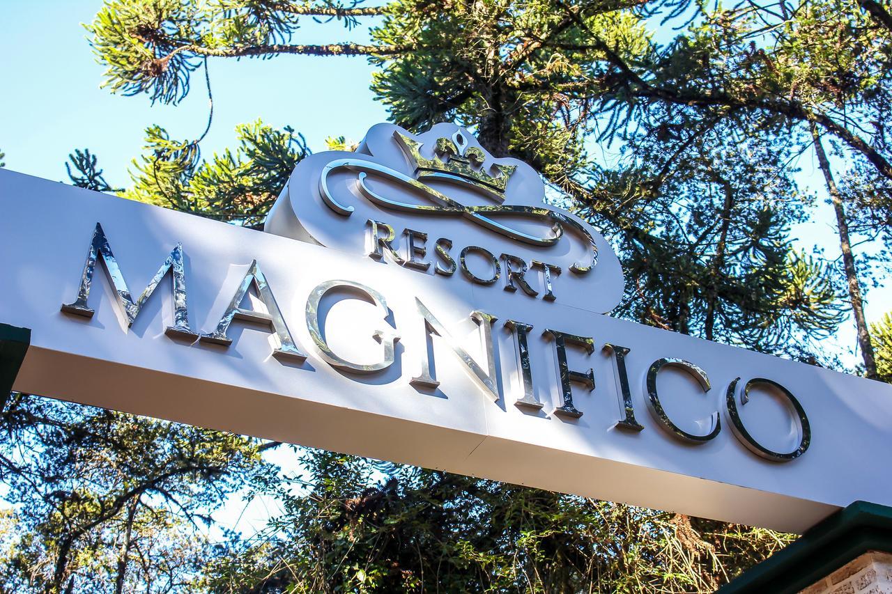 Magnifico
